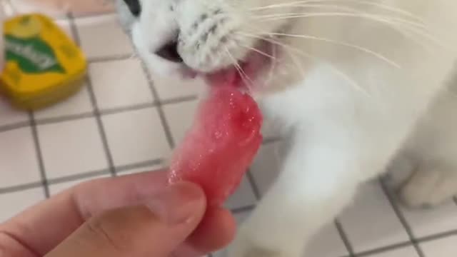 First time eating watermelon