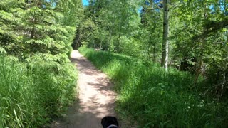 Hiking Black Elk Peak @ Custer State Park