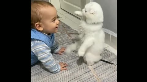 A cute baby and a cat (A baby and a cat play extremely funny