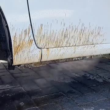 funny|prank|jokes|funny jokes|dad jokes|funny memes|funny video|fun|laughing|funny animal|knock