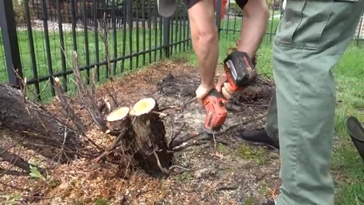 WOOD SawzAll Stump Removal