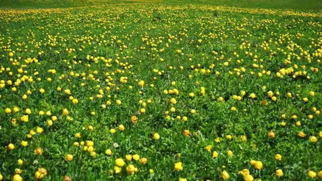 Beautiful Relaxing Music