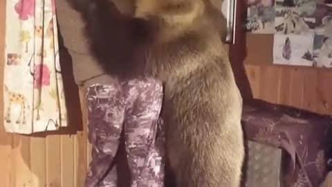 The bear is the best friend of the Russian man