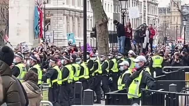 World Wide Rally For Freedom - London 22/01/22