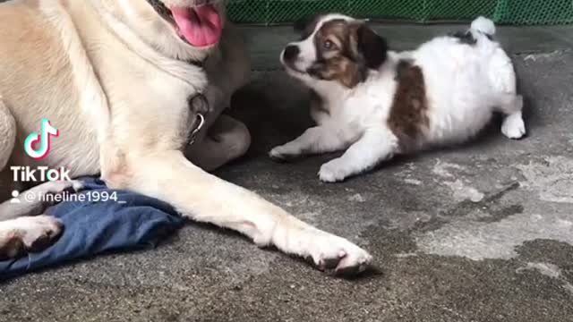 Her big brother