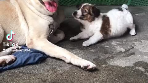 Her big brother