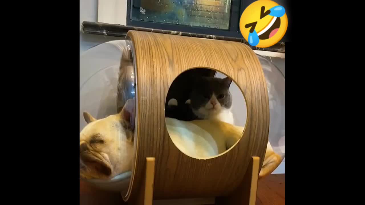 ohh no!! my home has been robbed 😱🤣🤣