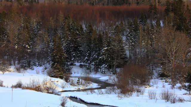 Cape Breton Winter Scenes