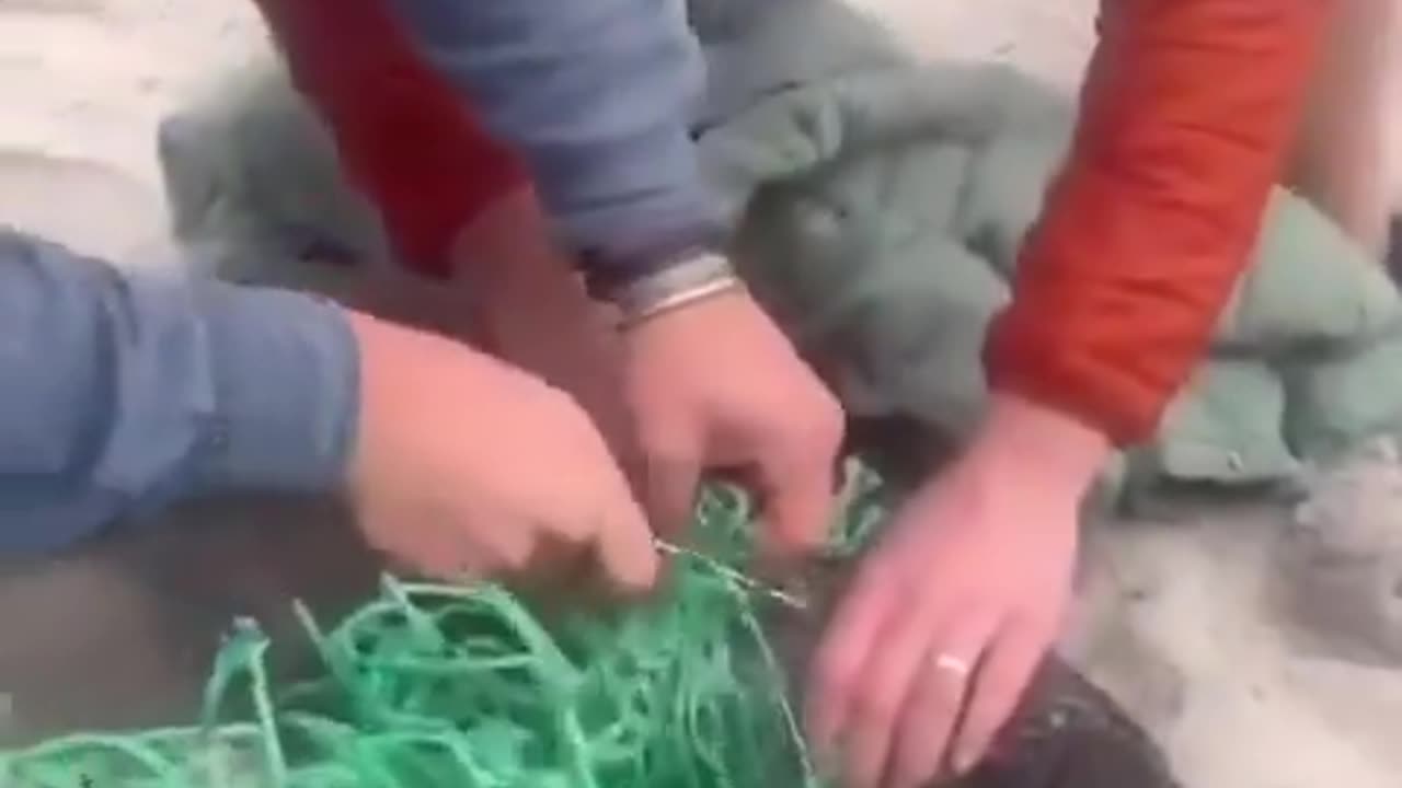 Do good to those who need it