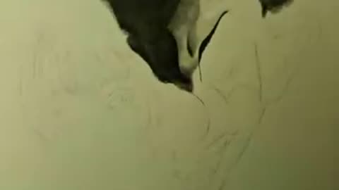 Drawing Horror - Out Of The Dark