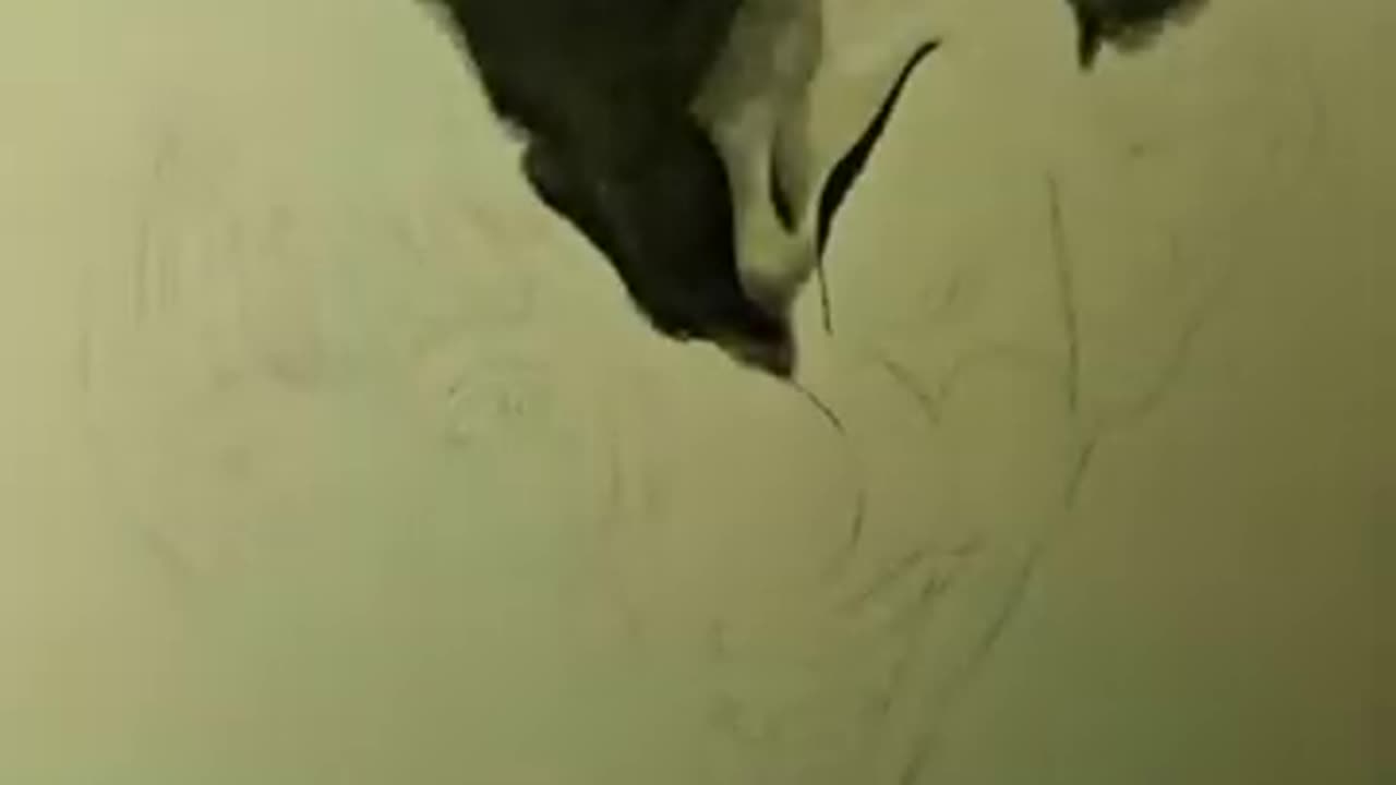 Drawing Horror - Out Of The Dark