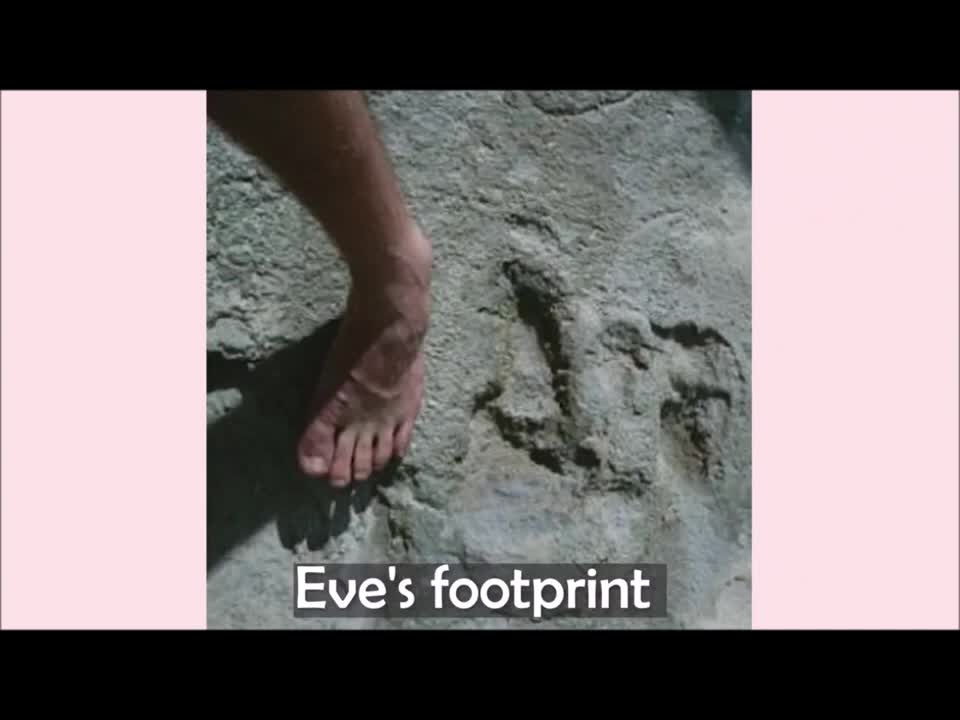 Eve's footprints in South Africa