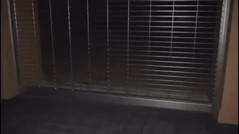 SRA Hidden Facility - Part 2 of 2