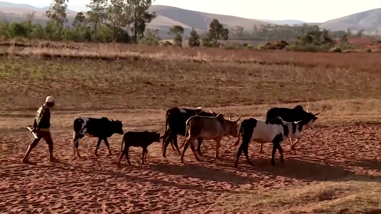 Deadly kidnappings leave Madagascar village in fear and grief