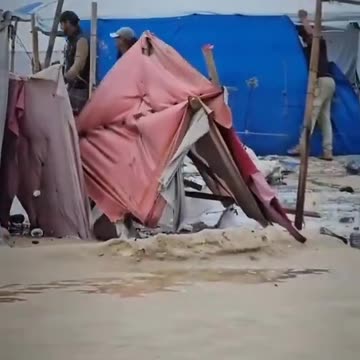 Israel continues to kill Palestinians not only through starvation, bombing...