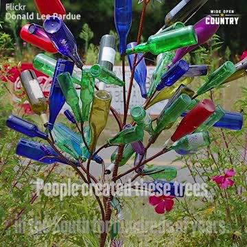 Bottle Trees: A Unique Southern Tradition with Ancient Origins
