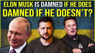 Insane In Ukraine Musk Putin Zelensky