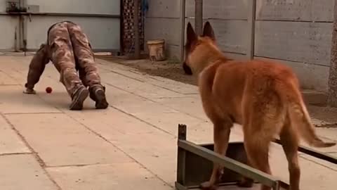Following the master!