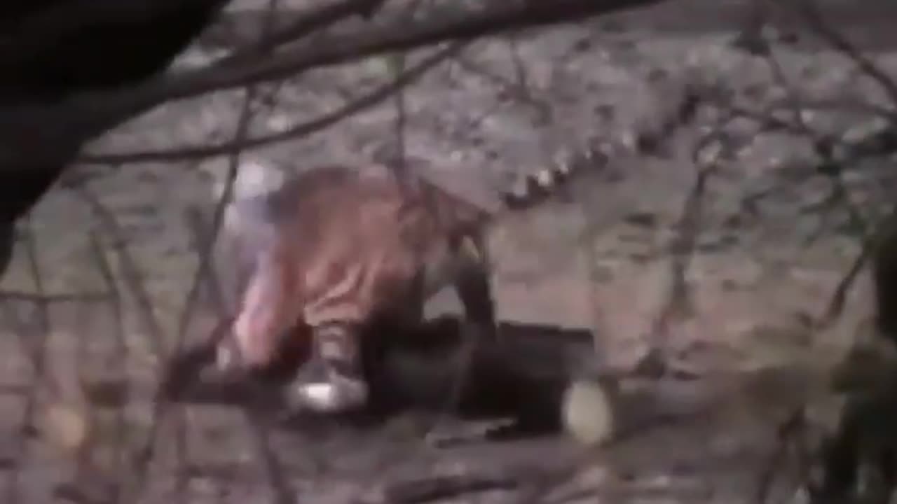 Wildlife in closer view with a natural perspective.