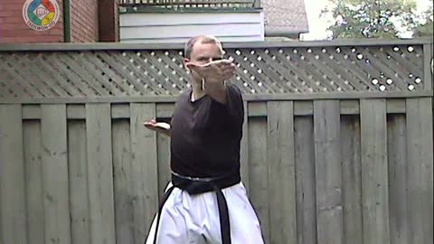 Taekwondo: Hapkido: Foundations: Arc-hand-front-choke-strike-front-view