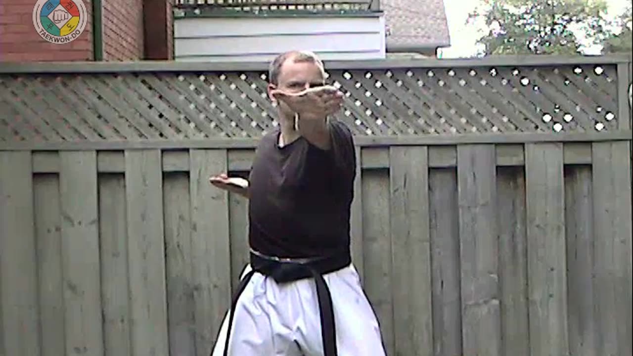 Taekwondo: Hapkido: Foundations: Arc-hand-front-choke-strike-front-view