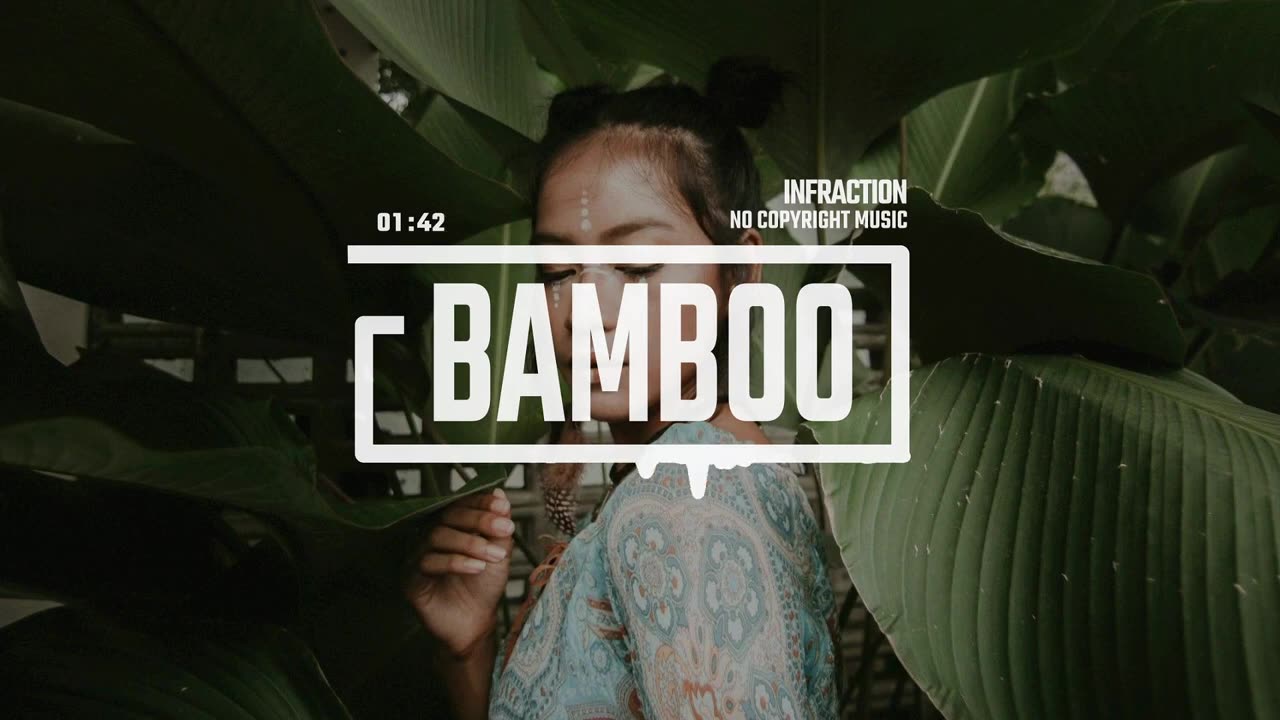 Ethnic Hip Hop Music by Infraction Music / Bamboo
