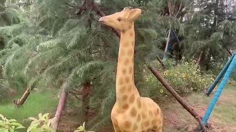 Encounter a cute giraffe statue