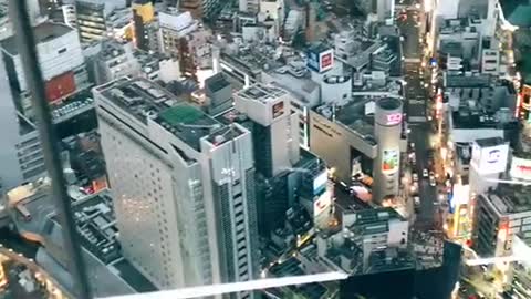 Tokyo is so beautiful 😍