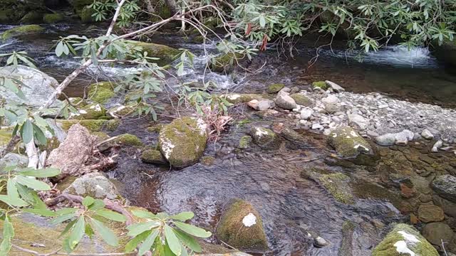 Flowing Water and Mossy Rocks2