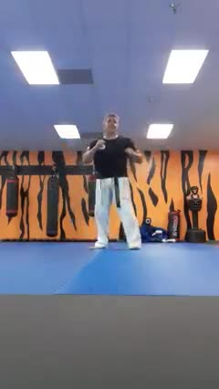 Spinning Kick Into Jump Spinning Kick