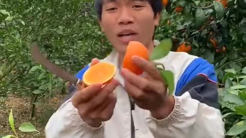 Farm Fresh Ninja Fruit Cutting Desi Satisfying Fruit Ninja Fruit Ideas | Amazing Fruits Video