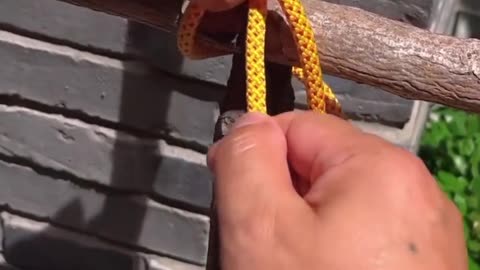 Knots for preppers