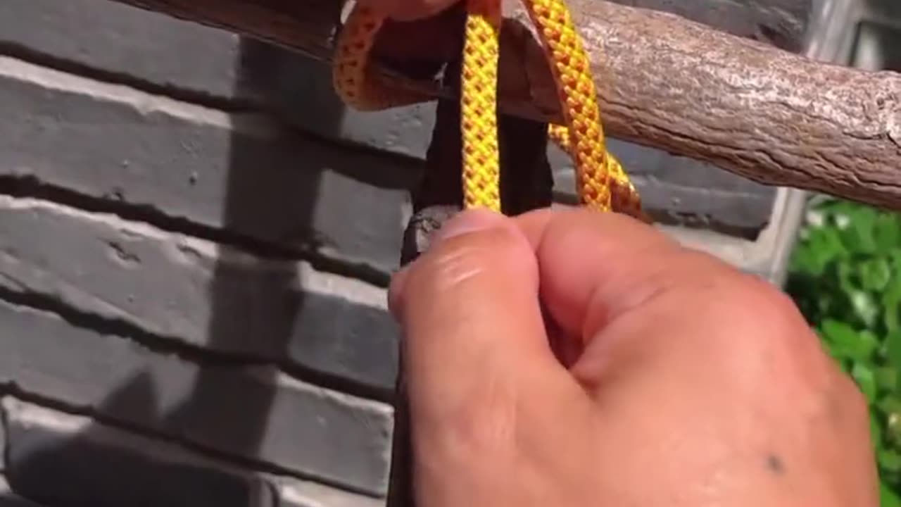 Knots for preppers