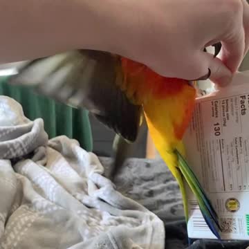 Somebody HATES my candy selection!