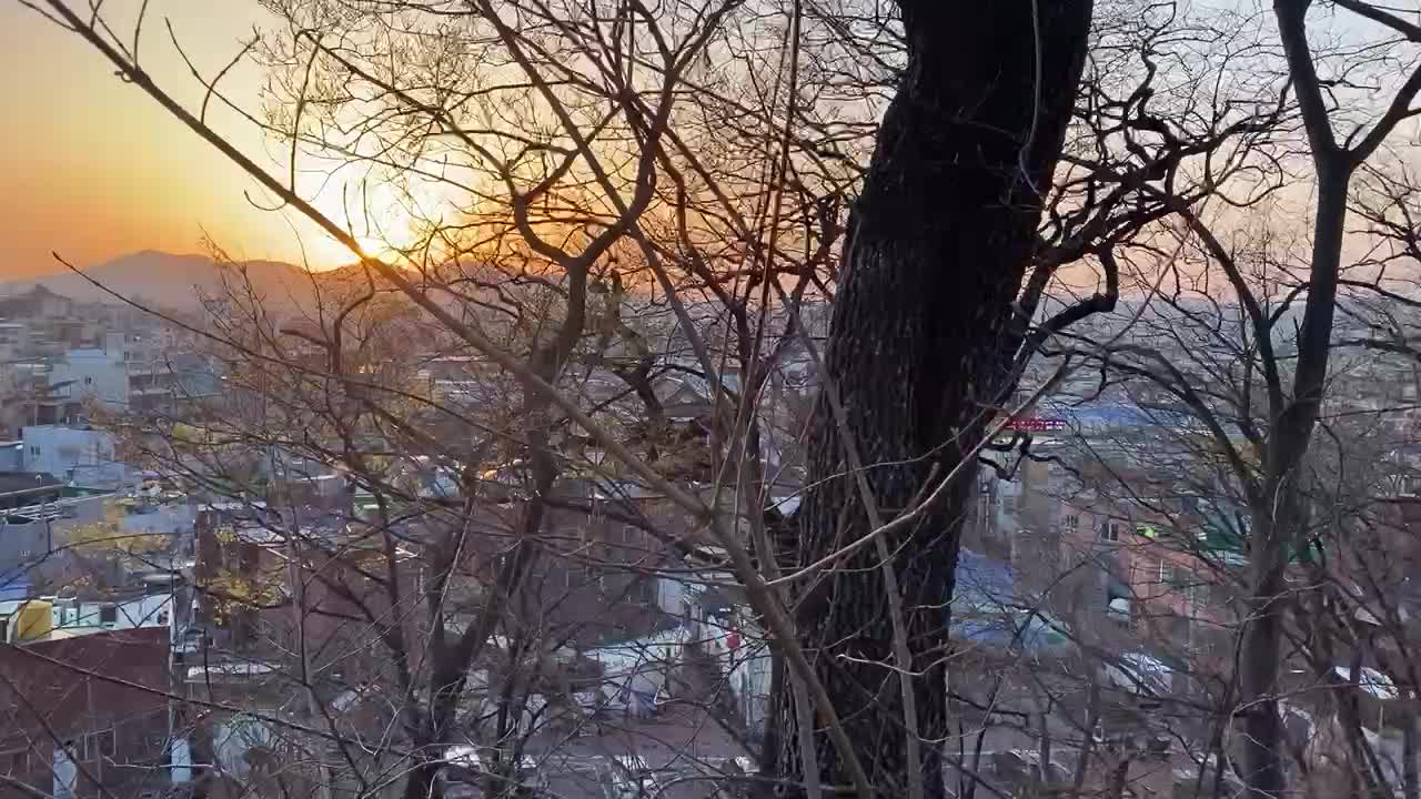 night view on the hill