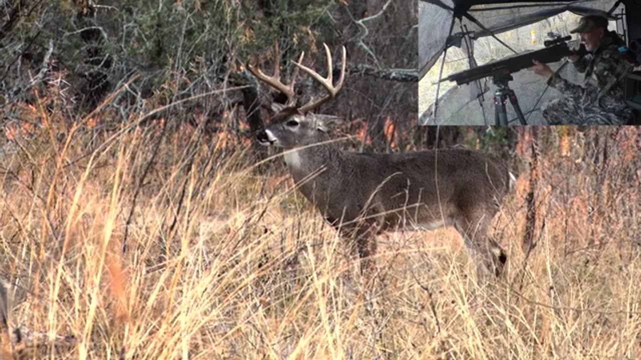 The Air Bow Whitetail Deer Hunt - AirSaber Elite X2