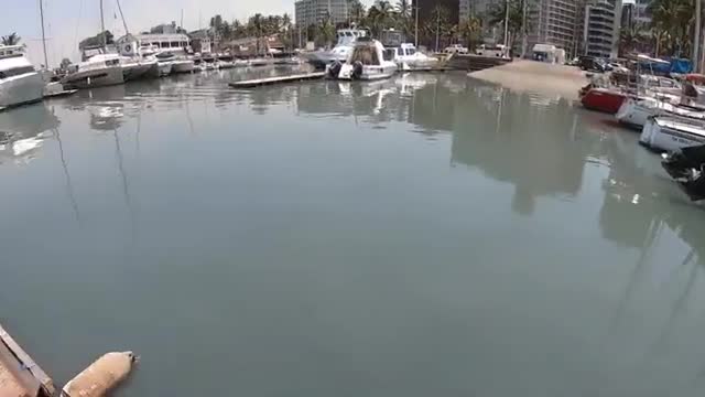 Sewage flows into Durban port