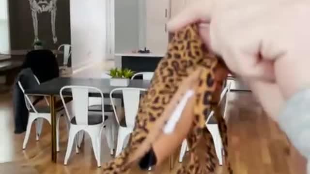 He was in OUR BED (FOR ENTERTAINMENT PURPOSES ONLY)