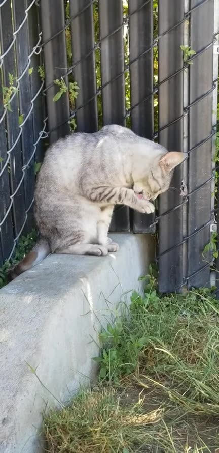 20230714 121112 Birthday Washing