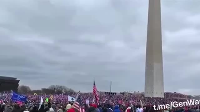 Tucker Carlson Originals: Patriot Purge - State Sponsored Terrorism Explained