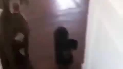 FUNNY MOMENTS WITH DOGS