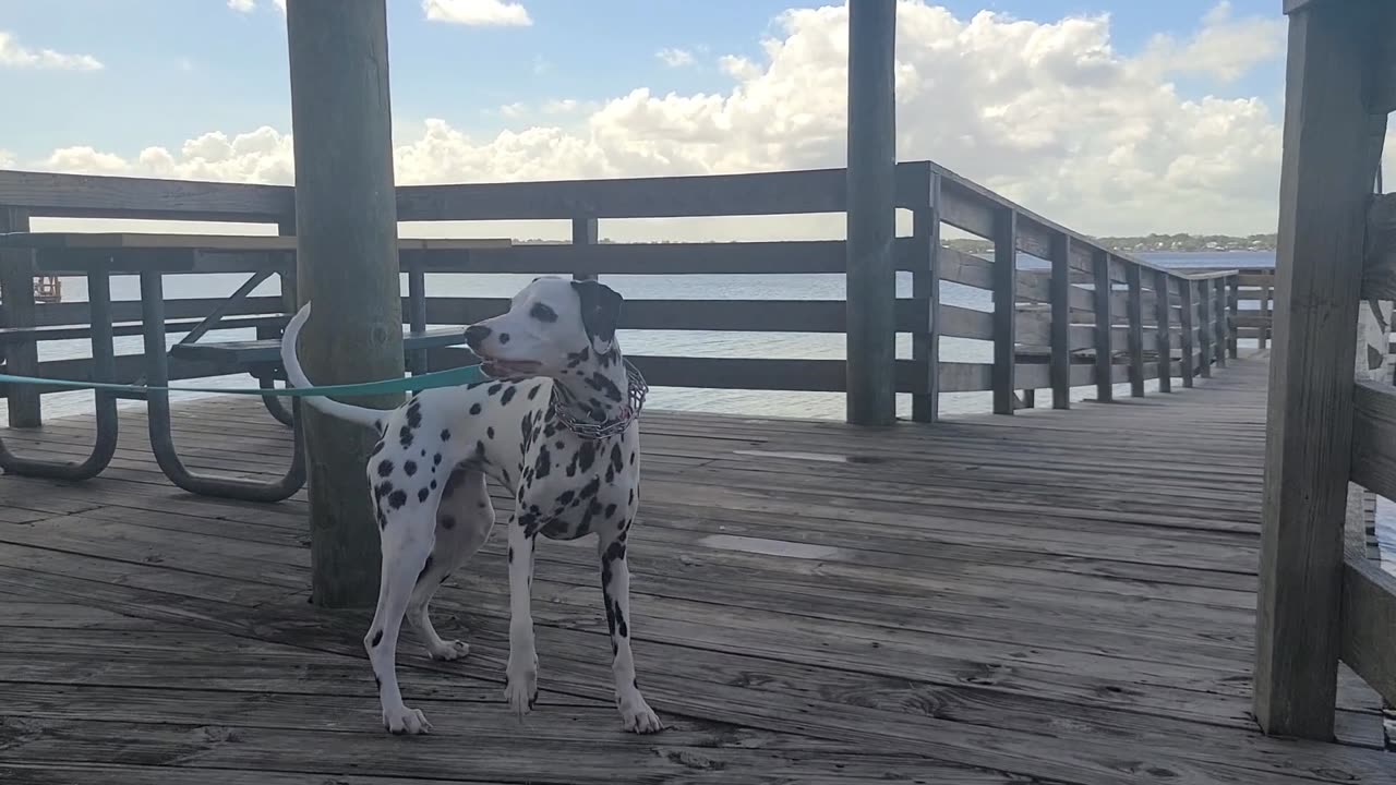 Luna at Osteen Park Meritt Island FL