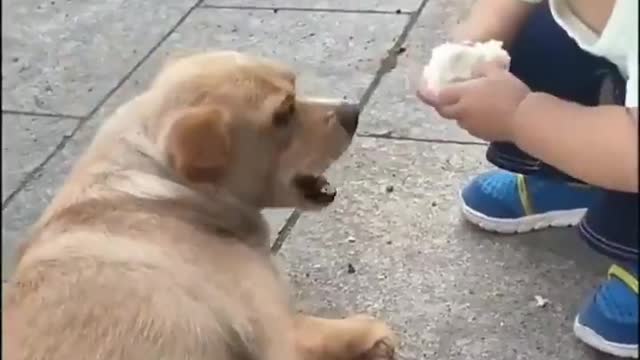 Two innocent creatures speak each other's language. ❤️