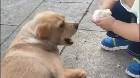 Two innocent creatures speak each other's language. ❤️