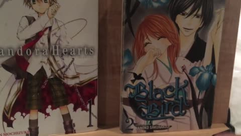 Pandora Hearts is a Fun Early Book by a Great Manga Team, but This Other One...
