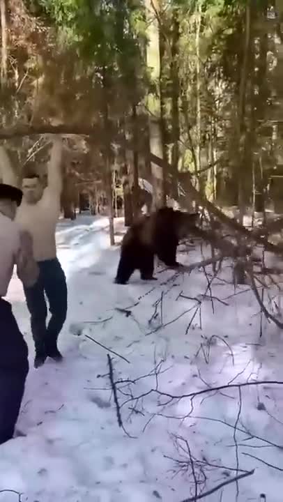 The bear helps train the soldiers