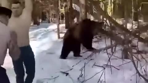 The bear helps train the soldiers