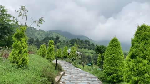 Rakkh Resort - Palampur - Himachal Pradesh - India