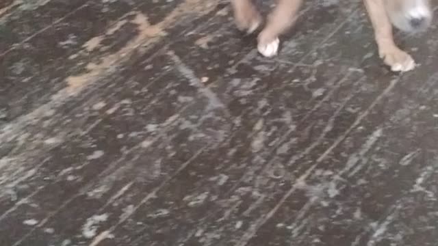 Humpers cramp