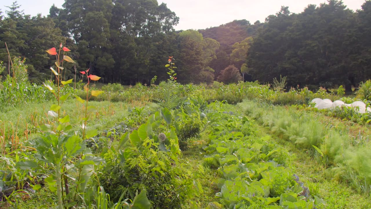 Food Forest